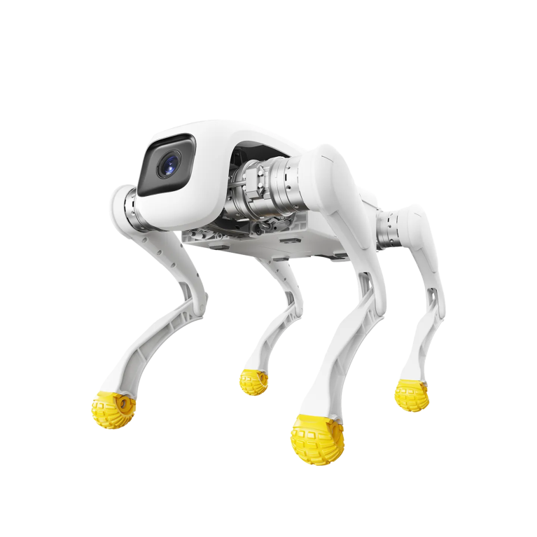 BOT D1 Edu